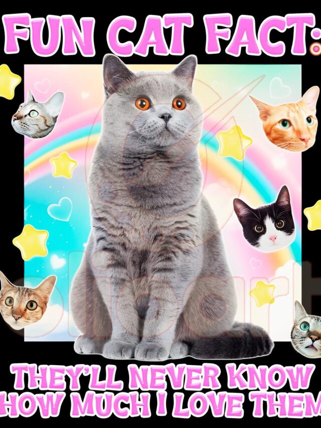 Perfect PNGs for Cat Lovers: Adorable Designs You’ll Love!