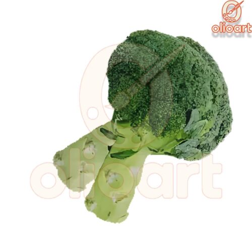 Woke Up Looking For The Broccoli Kendrick Lamar PNG