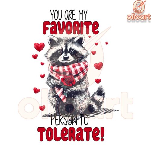 Valentine Raccoon You Are My Favorite Person Png