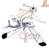 Chloe Moriondo Oyster Album PNG Image