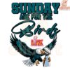 Sundays Are for the Birds Super Bowl LIX PNG