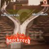 Funny Hatebreed Meme PNG for Hardcore Kids Metalheads